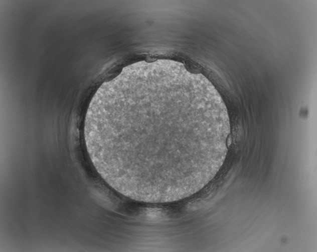 X0000116490264201001201409