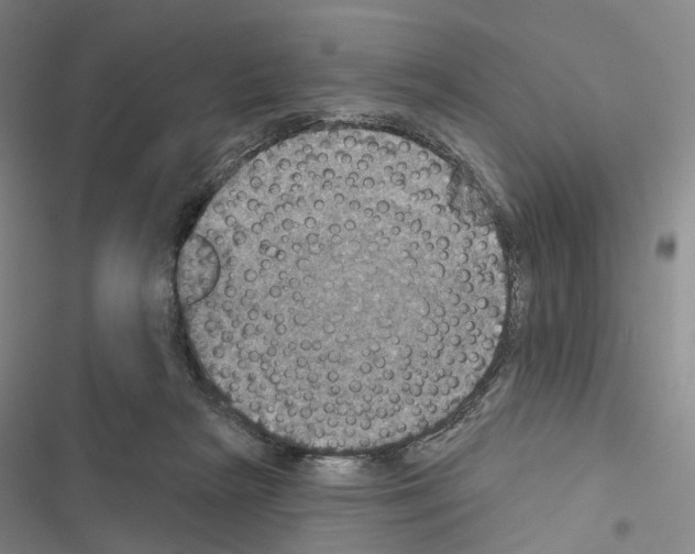 X0000116490265201001201409