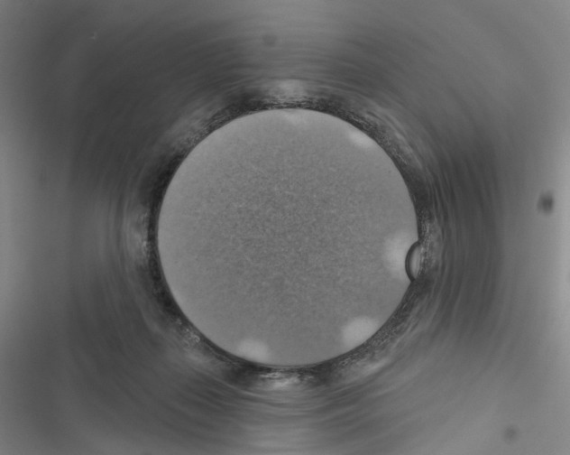 X0000116490267201001201409