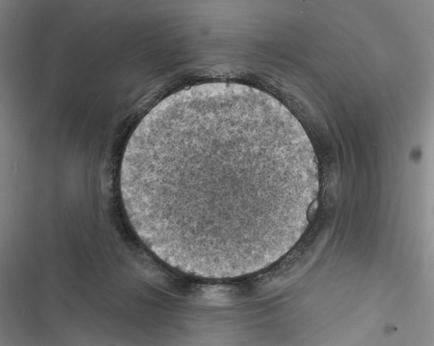 X0000116490268201001201409