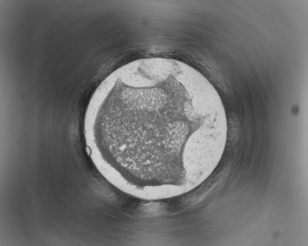 X0000116490269201001201409