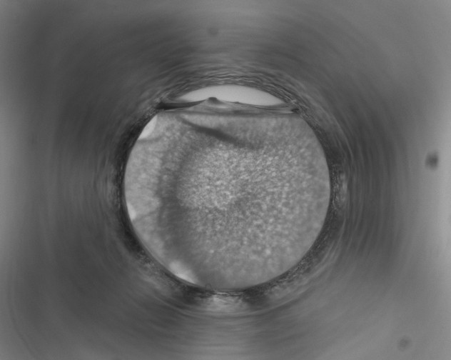 X0000116490270201001201409