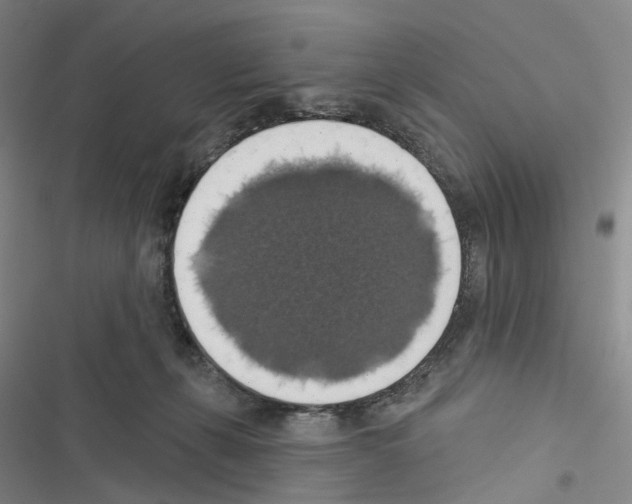 X0000116490271201001201409