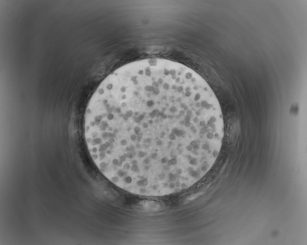 X0000116490272201001201409