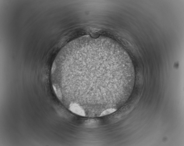 X0000116490274201001201409