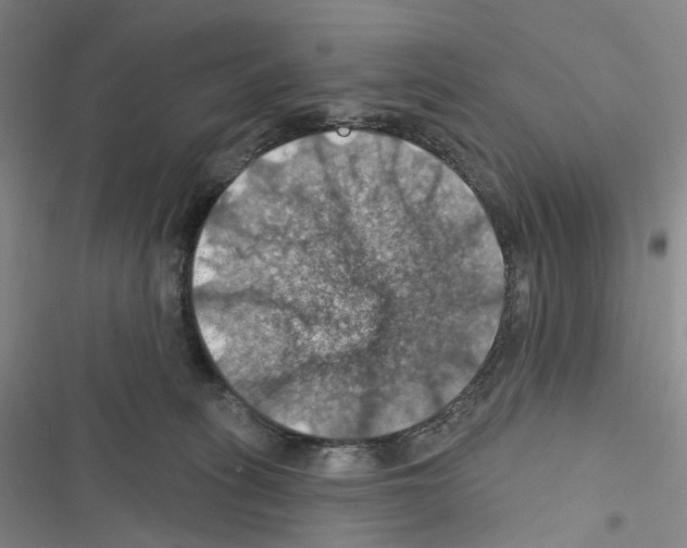 X0000116490275201001201409