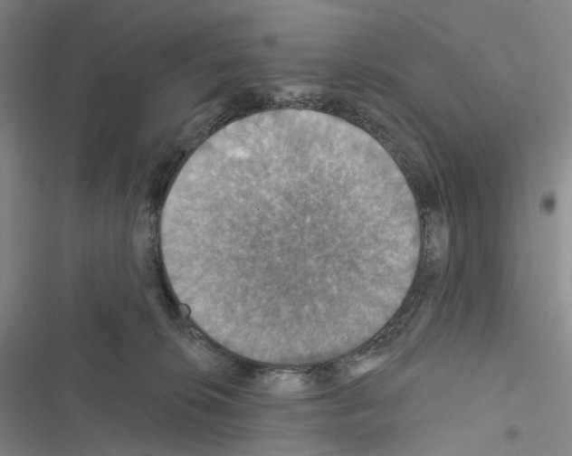 X0000116490276201001201409