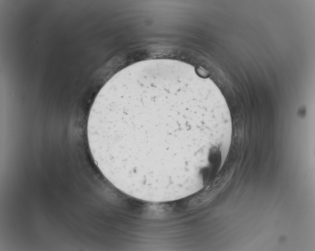 X0000116490277201001201409