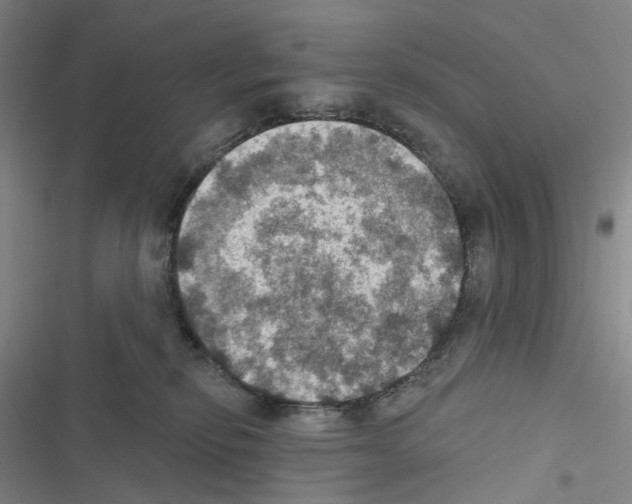 X0000116490278201001201409