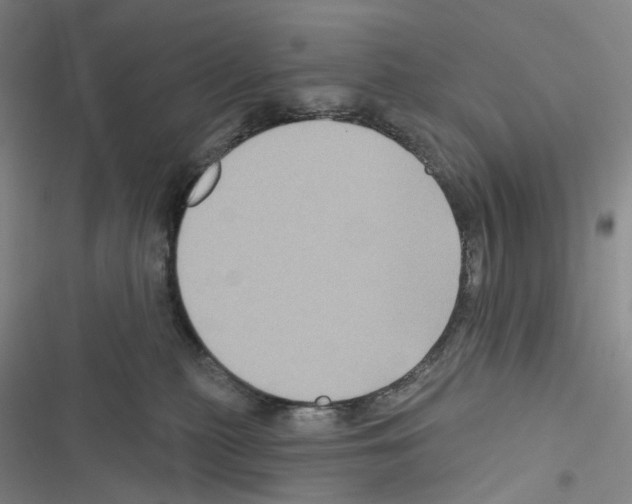 X0000116490279201001201409