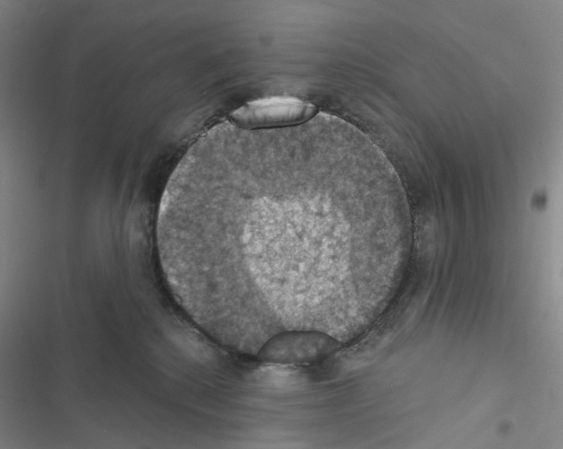 X0000116490280201001201409