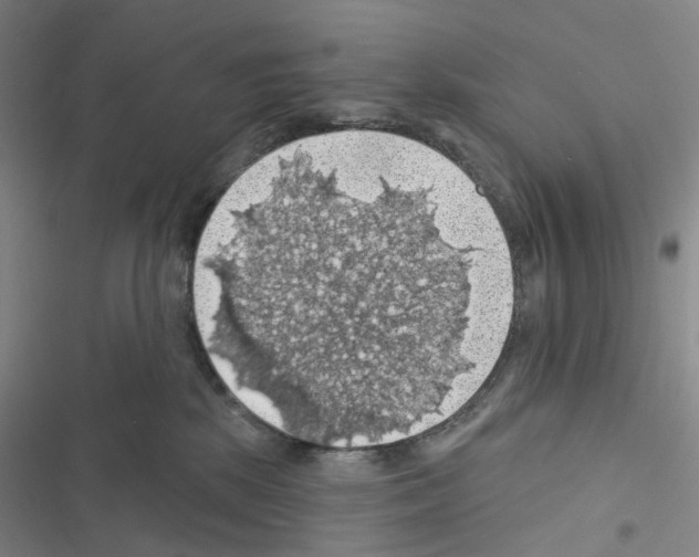 X0000116490281201001201409