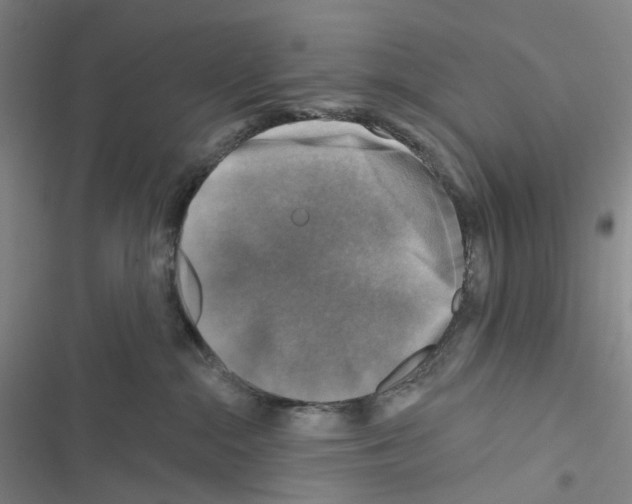 X0000116490284201001201409