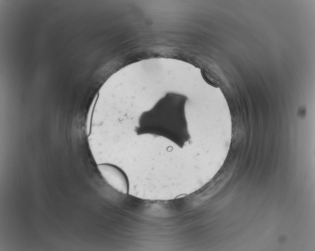 X0000116490285201001201409