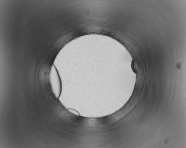 X0000116490287201001201410