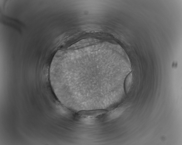 X0000116490288201001201410