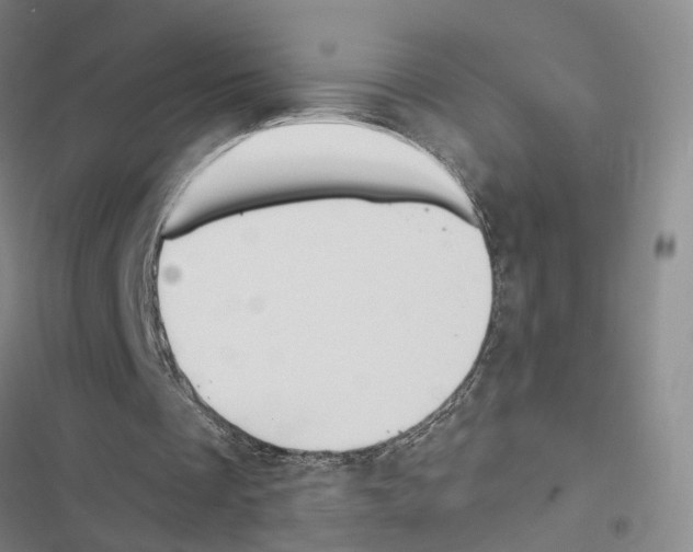 X0000116490289201001201409