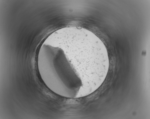 X0000116490290201001201409