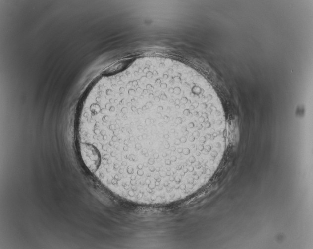 X0000116490291201001201409