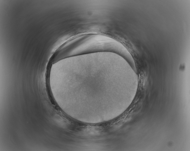 X0000116490292201001201409