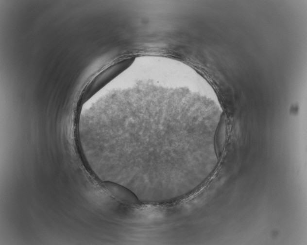 X0000116490293201001201409