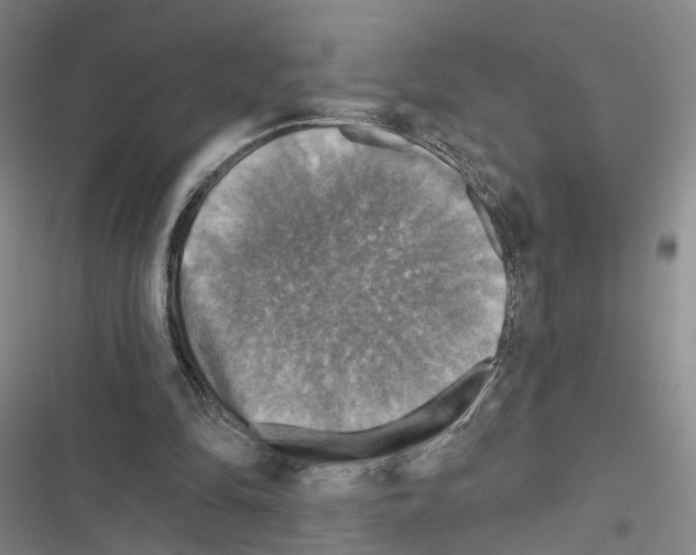 X0000116490294201001201409