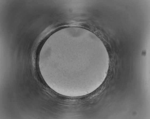 X0000116490295201001201409