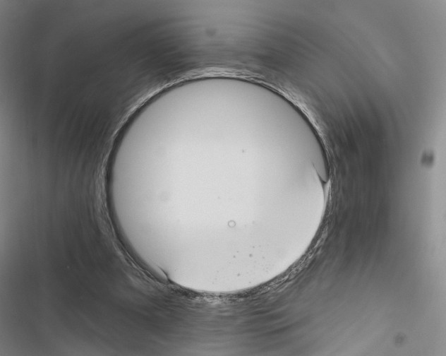 X0000116490297201001201409