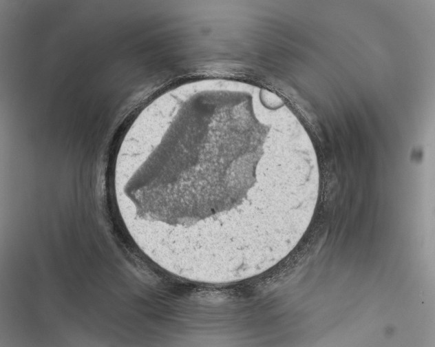 X0000116490299201001201409