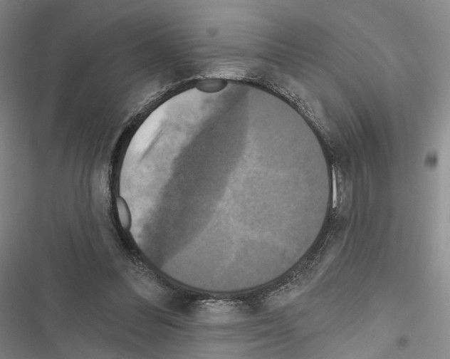 X0000116490300201001201409