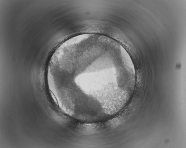 X0000116490302201001201409