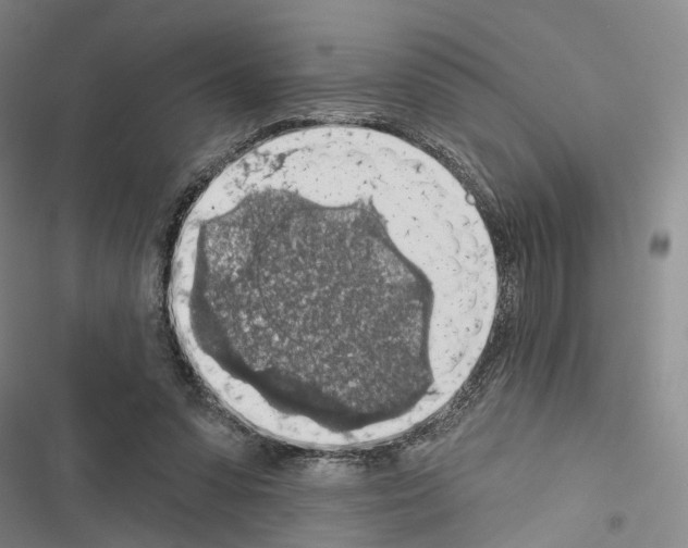 X0000116490303201001201409