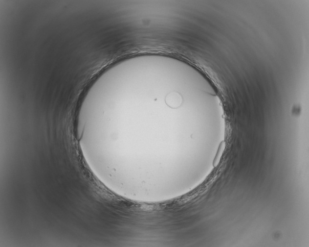 X0000116490305201001201409