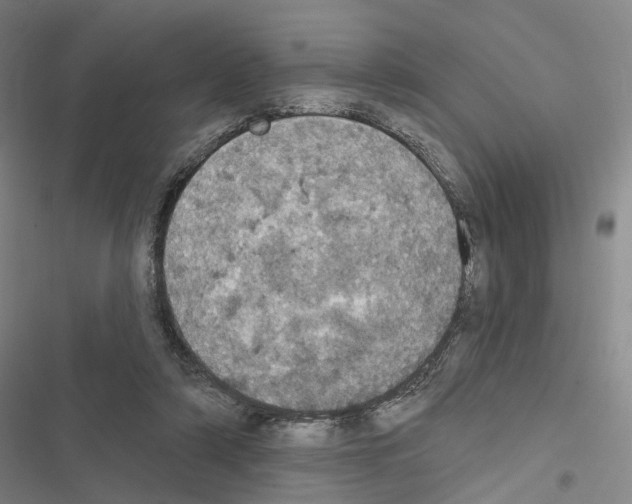 X0000116490306201001201409