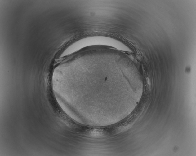 X0000116490308201001201409