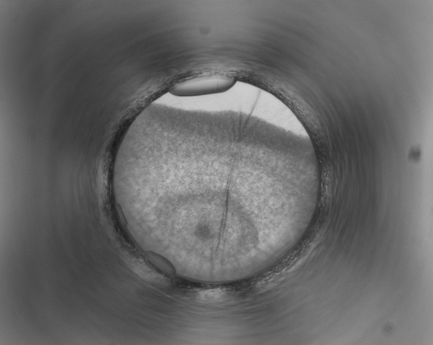 X0000116490309201001201409