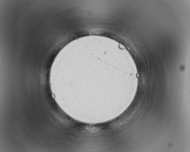 X0000116490311201001201409