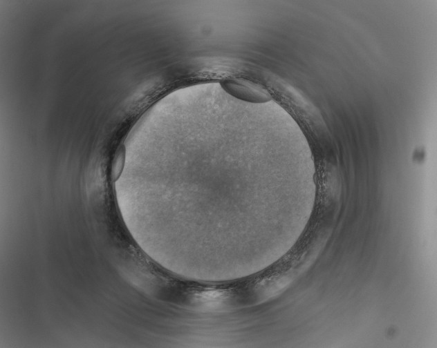 X0000116490312201001201409