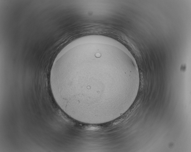 X0000116490313201001201409