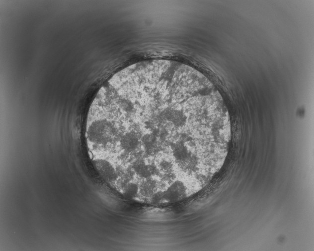 X0000116490315201001201409