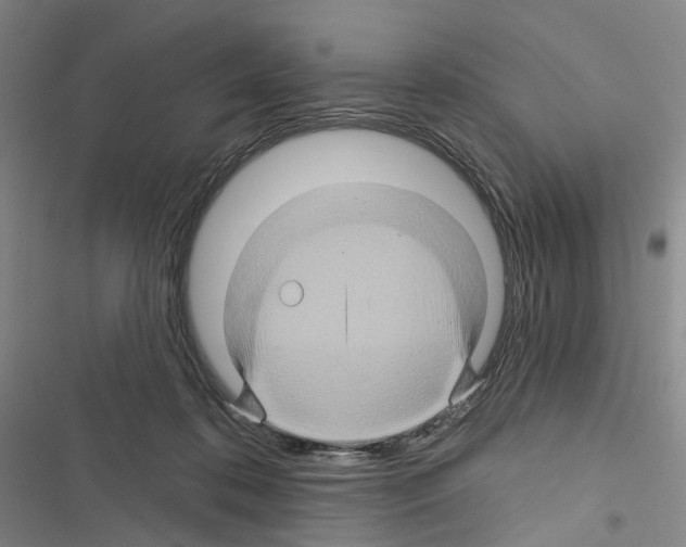 X0000116490316201001201409