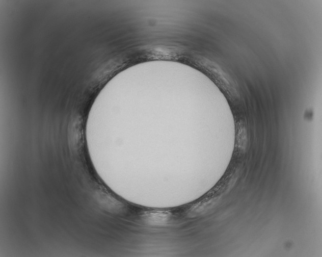 X0000116490318201001201408