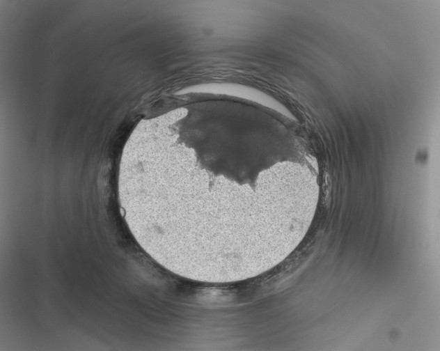 X0000116490319201001201408