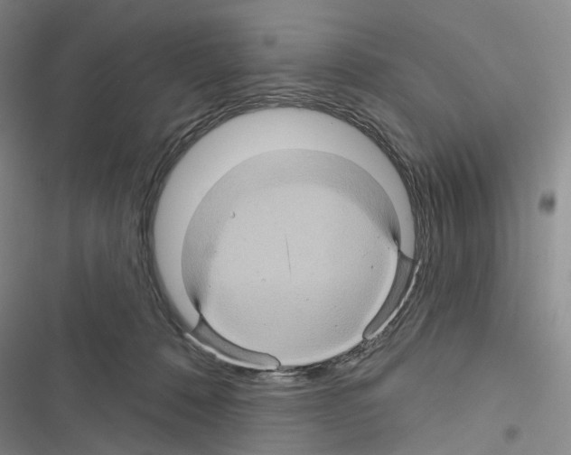 X0000116490320201001201408