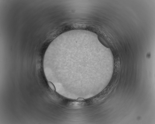 X0000116490323201001201408