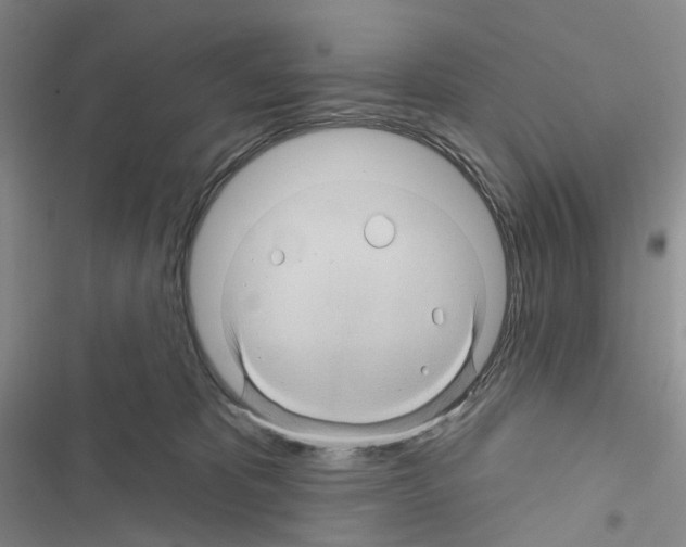 X0000116490325201001201408