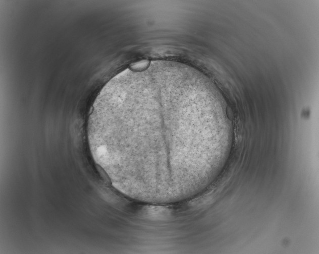 X0000116490327201001201408