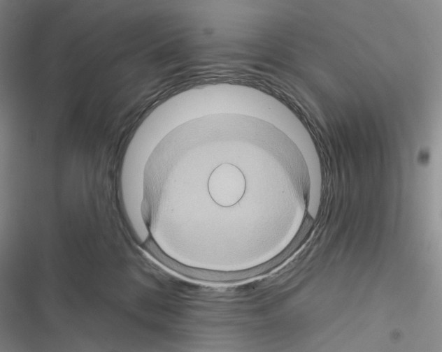 X0000116490328201001201408