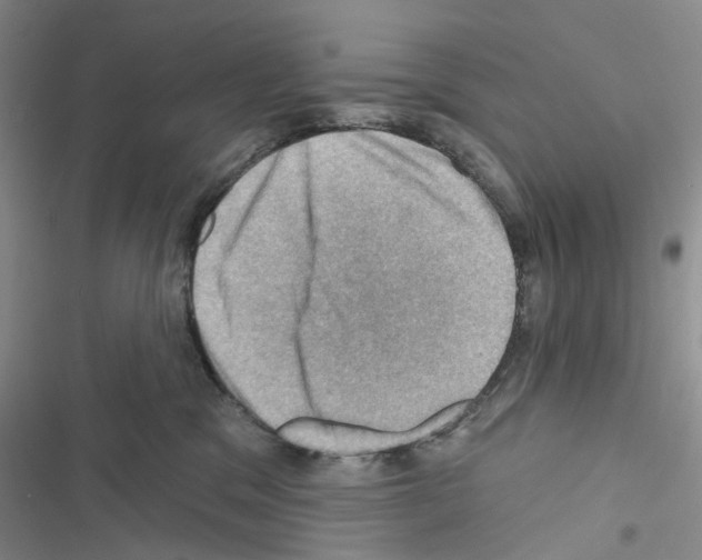 X0000116490329201001201408