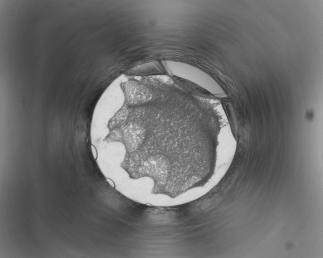 X0000116490331201001201408